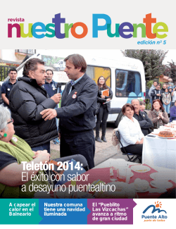 Teletón 2014 - Municipalidad de Puente Alto