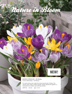 Nature In Bloom - Western Promotions, Inc.
