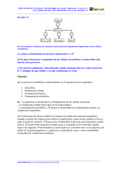 a) ¿cómo se denominan los procesos numerados 1 a - IES El Piles
