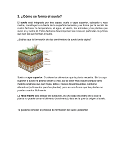 3. ¿Cómo se forma el suelo? - Portal Académico del CCH