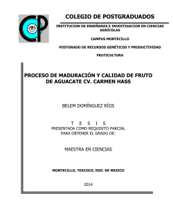 proceso de maduraci&oacute;n y calidad de fruto de aguacate cv. carmen