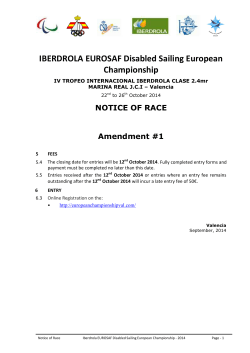 AR Iberdrola - Enmienda 1