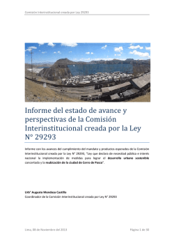 Informe del estado de avance y perspectivas de la Comisio n