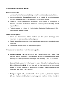 Dr. Edgar Antonio Rodríguez Negrete Semblanza - Conacyt