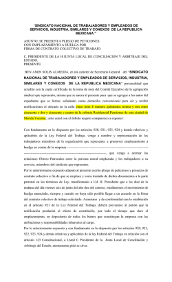 sindicato nacional de trabajadores y empleados de servicios
