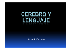 Ferreres - Cerebro y Lenguaje - Facultad de Psicología