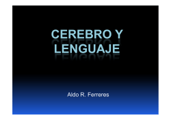 Ferreres - Cerebro y Lenguaje - Facultad de Psicolog&iacute;a