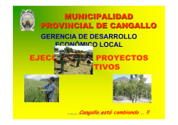 Exposición Municipalidad Provincial de Cangallo