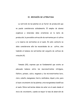 II REVISIÓN DE LITERATURA (1).pdf