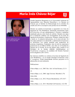 María Inés Chávez Béjar - Upemor
