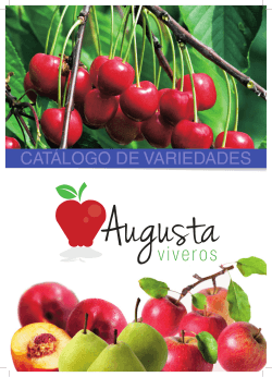 Descargar catálogo - Augusta Viveros