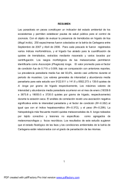 tesis maestria.pdf