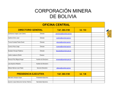 CORPORACIÓN MINERA DE BOLIVIA - Comibol
