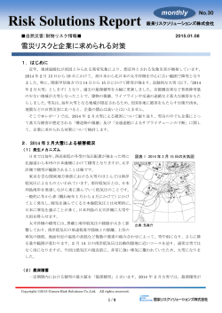 Risk Solutions Report - 銀泉株式会社