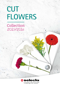 Collection 2015/2016 - Selecta Cut Flowers