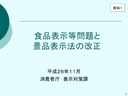 資料1[PDF:2MB] - 消費者庁