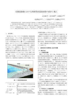 北海道森港における消波型高基混成堤の設計と施工
