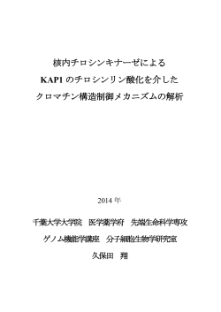 核内チロシンキナーゼによる KAP1 のチロシンリン酸化を介 - 千葉大学