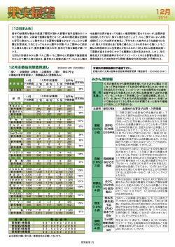 果実展望 - 東京青果