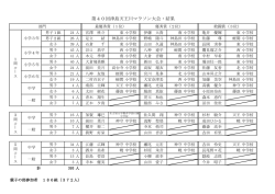 H26666 marasonnkextuka.pdf