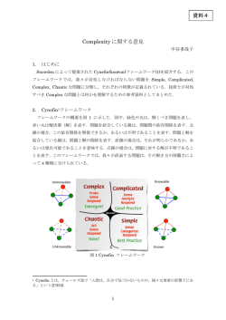 資料4 Complexityに関する意見（中谷委員） （PDF:930KB）