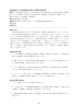 ［成果情報名］ビワの果実腐敗の原因となる菌類の感染時期 ［要約］ビワ