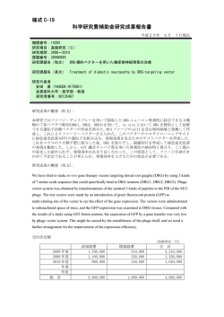 様式 C-19 科学研究費補助金研究成果報告書 - KAKEN - 科学研究費