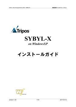 SYBYL-X on WindowsXP - 株式会社ワールドフュージョン