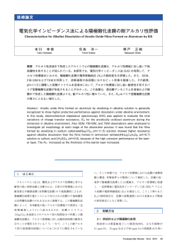 Full Text PDF（ 1628KB）