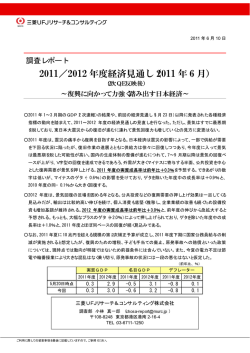 2011 年 6 月 - 三菱UFJリサーチコンサルティング