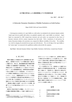 分子動力学法による固体壁面上での気泡核生成 A  - 東京大学