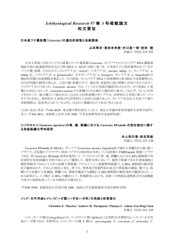 Ichthyological Research 57 巻 3 号掲載論文 和文要旨 - 日本魚類学会