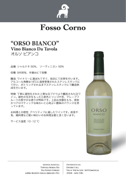 “Il Grande” “ORSO BIANCO”