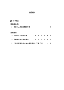 （参考）事業概要資料（再評価）