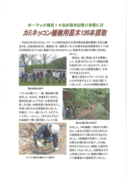 苗木山取り作業に汗