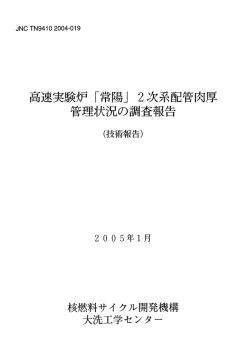 JNC-TN9410-2004-019.pdf:1.92MB