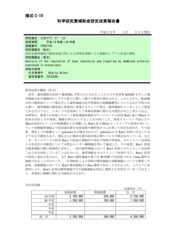 様式 C-19 科学研究費補助金研究成果報告書 - KAKEN - 科学研究費