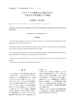 小玉スイカの整枝および誘引方法と 生育および果実肥大との関係 - 茨城県