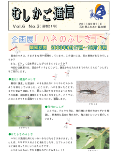 Vol.6 No.3（通巻21号） - ふれあい昆虫館