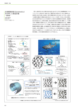 卒業 / 修了研究・制作