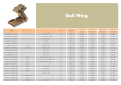 Gull Wing