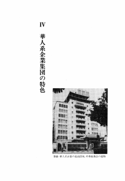 華人系企業集団 の特色