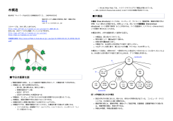 木構造 - Softlab - 筑波大学