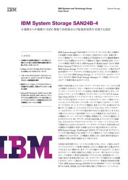 IBM System Storage SAN24B-4