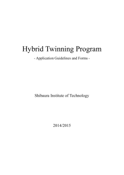 Hybrid Twinning Program