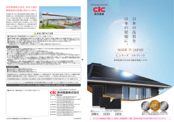 単結晶Cシリーズ(226W/113W) - 長州産業