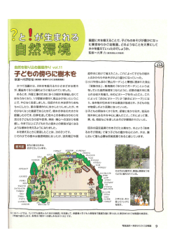 自然を取り込む園庭作り v。ーーー - 東京ゆりかご幼稚園
