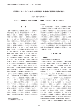 全文(101-109)（PDF：1700KB） - 千葉県