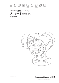 プロサーボ NMS 5/7 - Endress+Hauser Portal