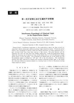 単一光子状態における偏光干渉実験